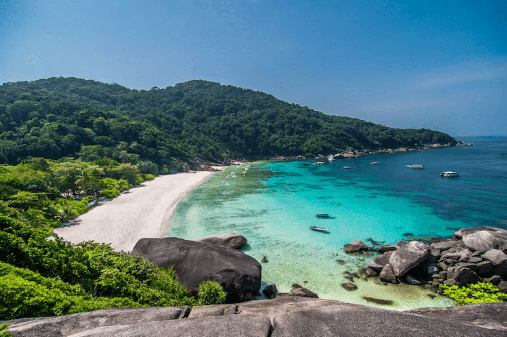 Hệ sinh thái biển phong phú tại Cù Lao Chàm hấp dẫn du khách. (Nguồn: Freepik)